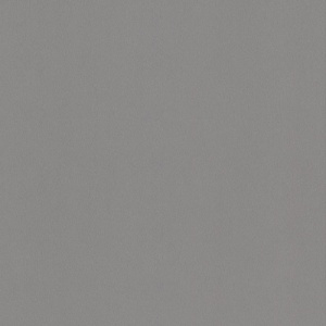 POLYREY - B092 Brossé Gris