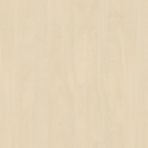 POLYREY - D021 Pommier de Deauville 