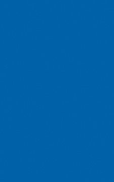 POLYREY - B001 Bleu Flash